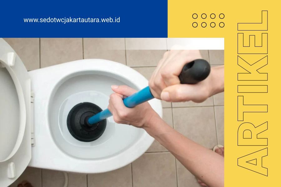 Sedot WC Jakarta Murah